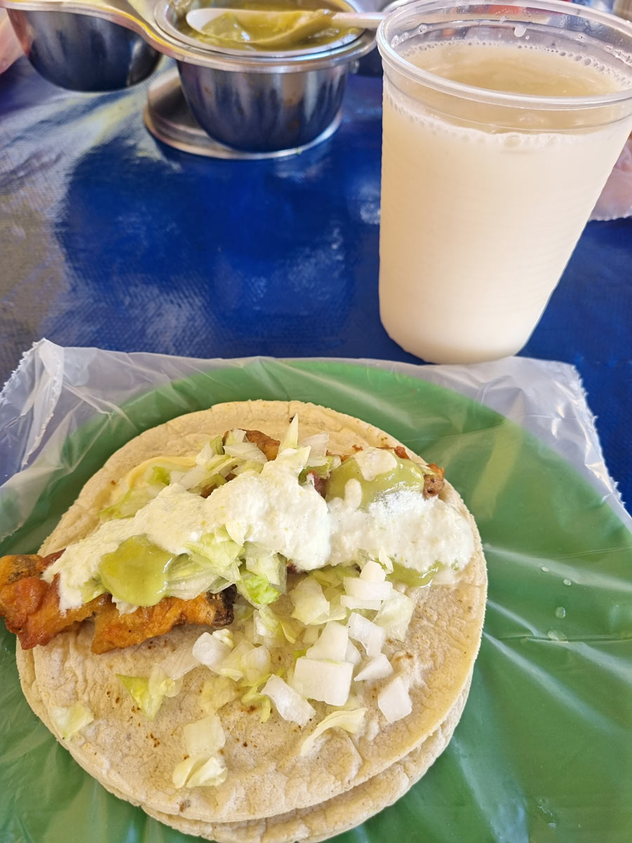 taco poisson mazatlan