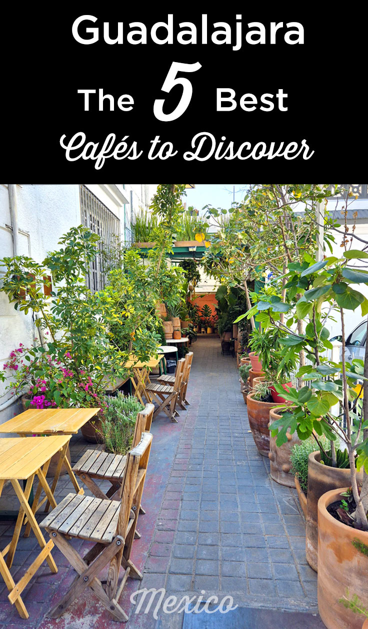 best coffee shops guadalajara