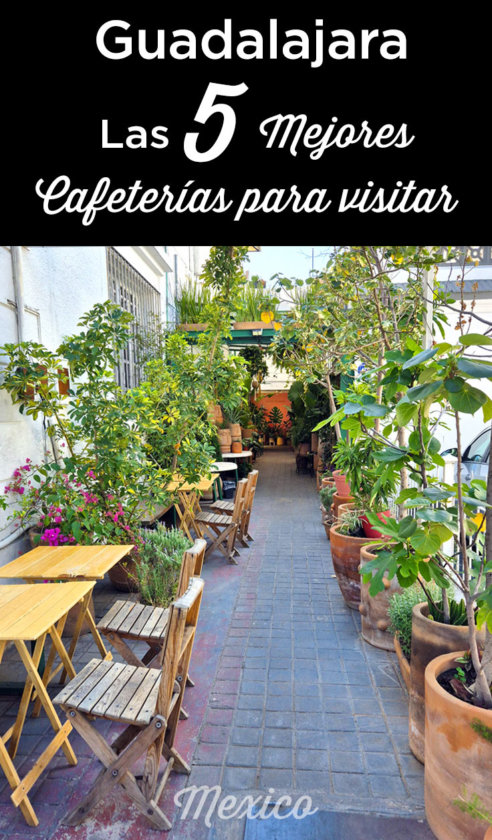 cafeterías en Guadalajara