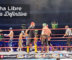 lucha libre ciudad de mexico arena mexico