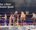 lucha libre mexico city arena mexico