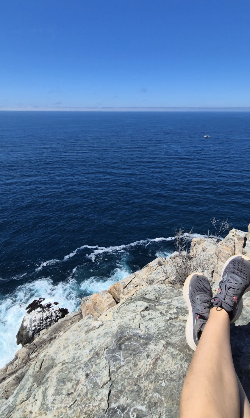 cima cerro punta lobos