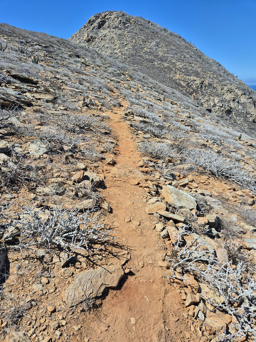 subida cerro Punta Lobos