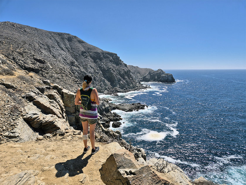 vista pacifico punta lobos