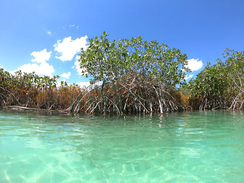 sian kaan punta allen