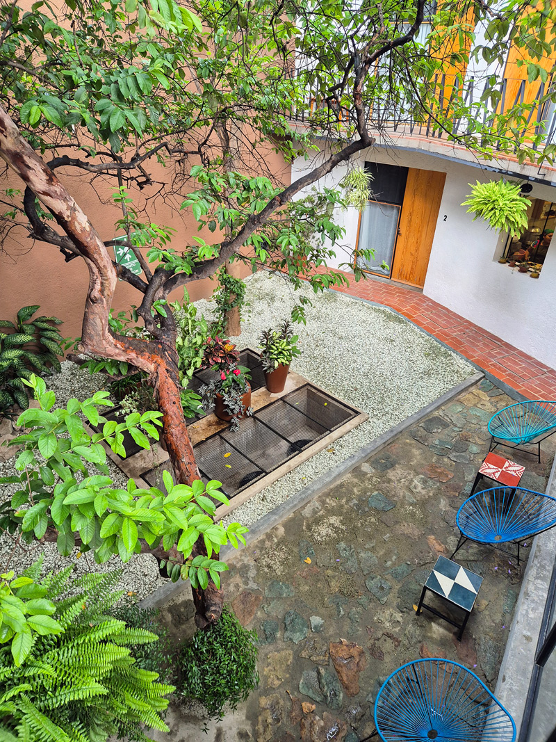 Hotel solidaire Oaxaca Hotel con Corazon