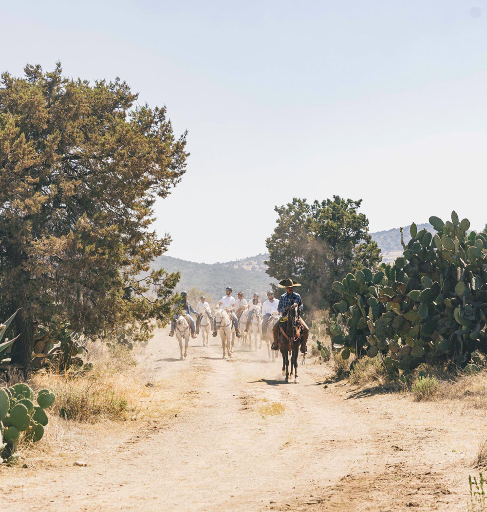 balade cheval mexique