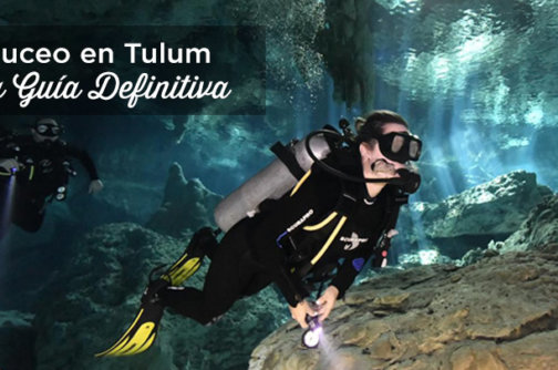 buceo en tulum