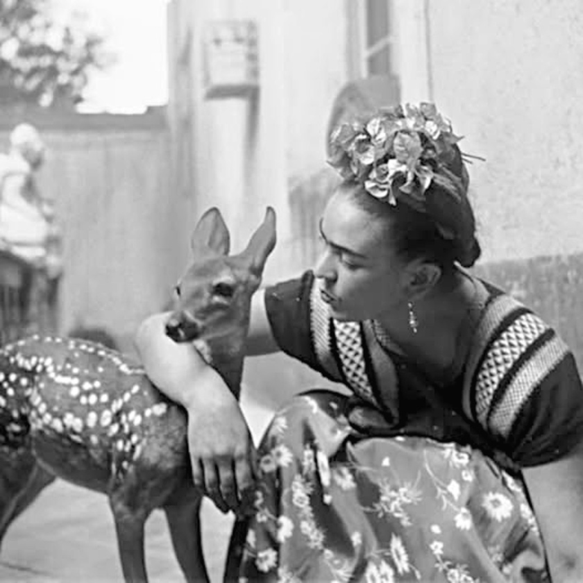 frida kahlo animal