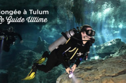 plongée tulum