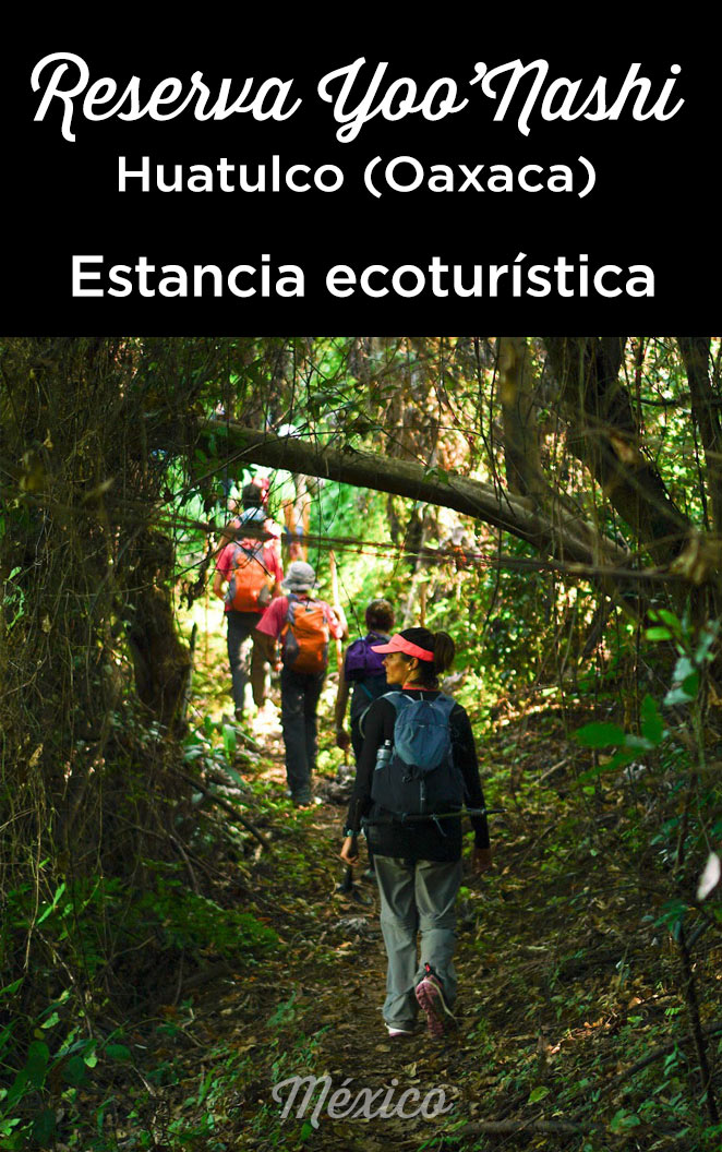 reserva ecoturistica yoo nashi huatulco oaxaca