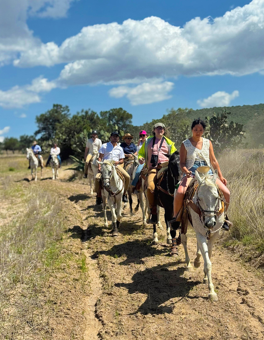 tour à cheval près de Mexico