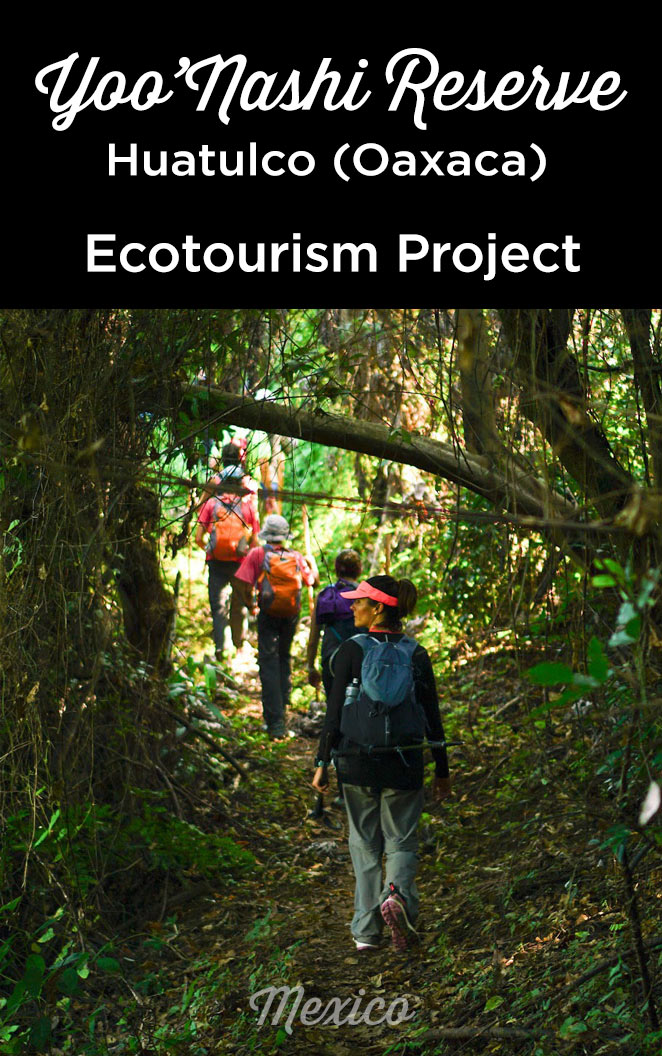 yoonashi ecotourism reserve huatulco oaxaca
