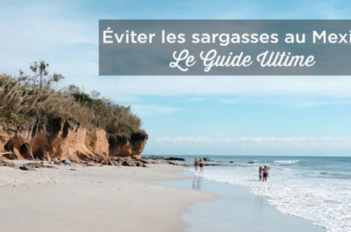 sargasses mexique plages riviera maya
