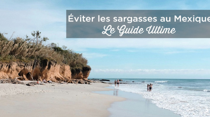 sargasses mexique plages riviera maya