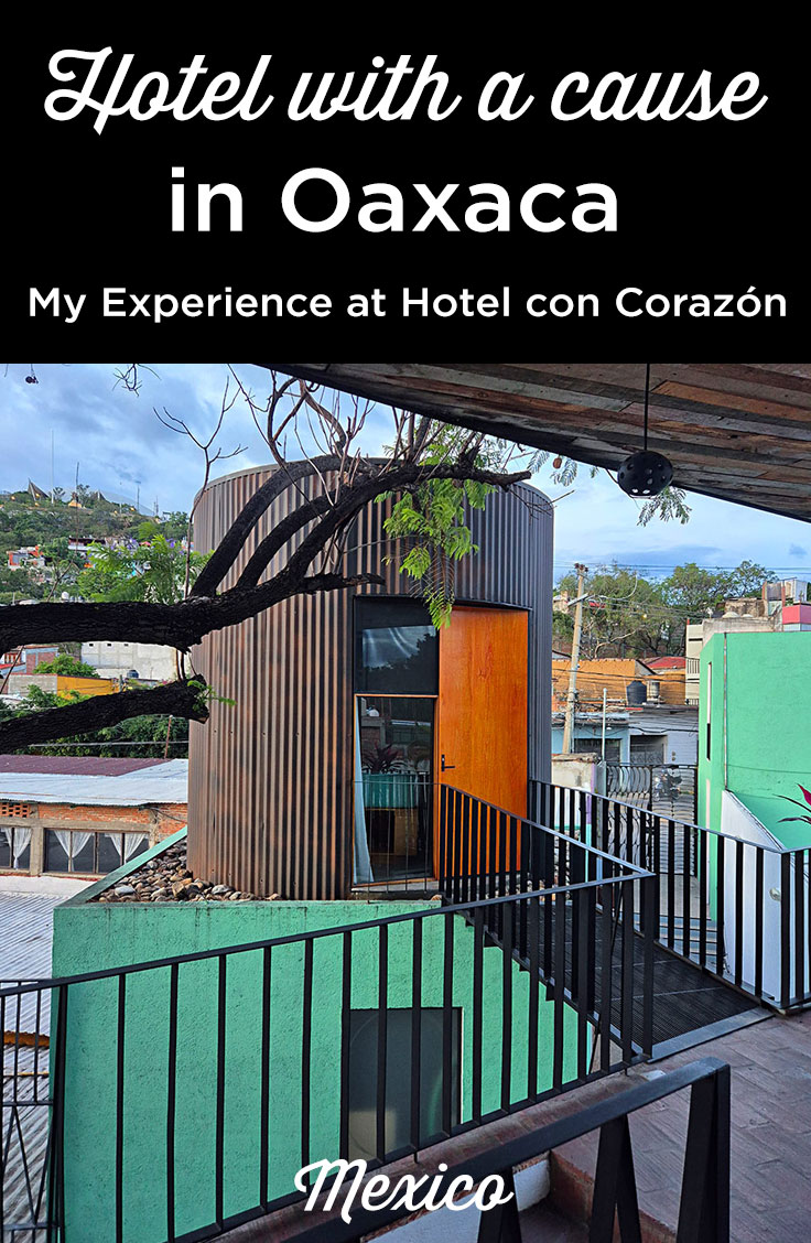 solidarity hotel oaxaca near zocalo