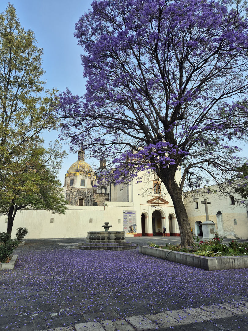Templo del Carmen de San Angel