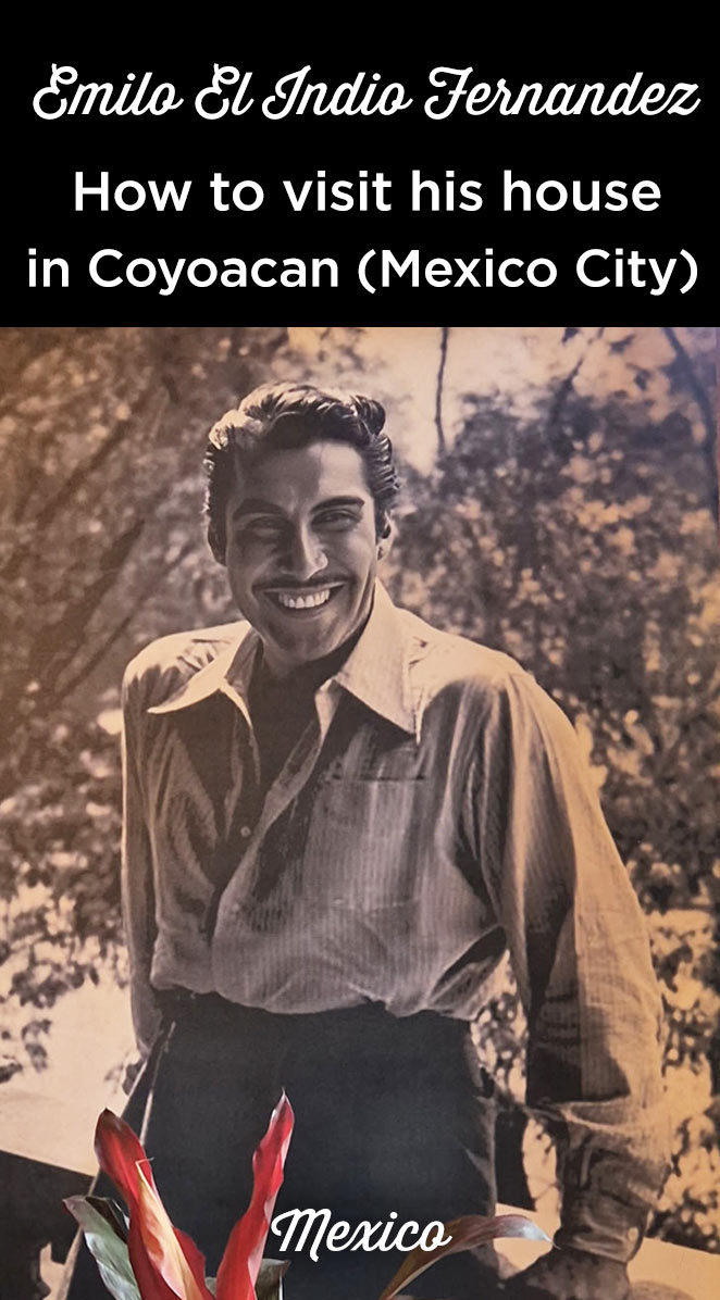casa del indio fernandez coyoacan day of the dead