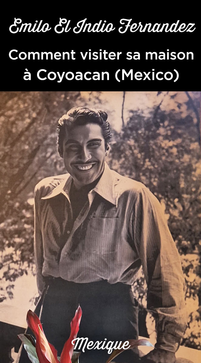 casa del indio fernandez coyoacan dia de muertos