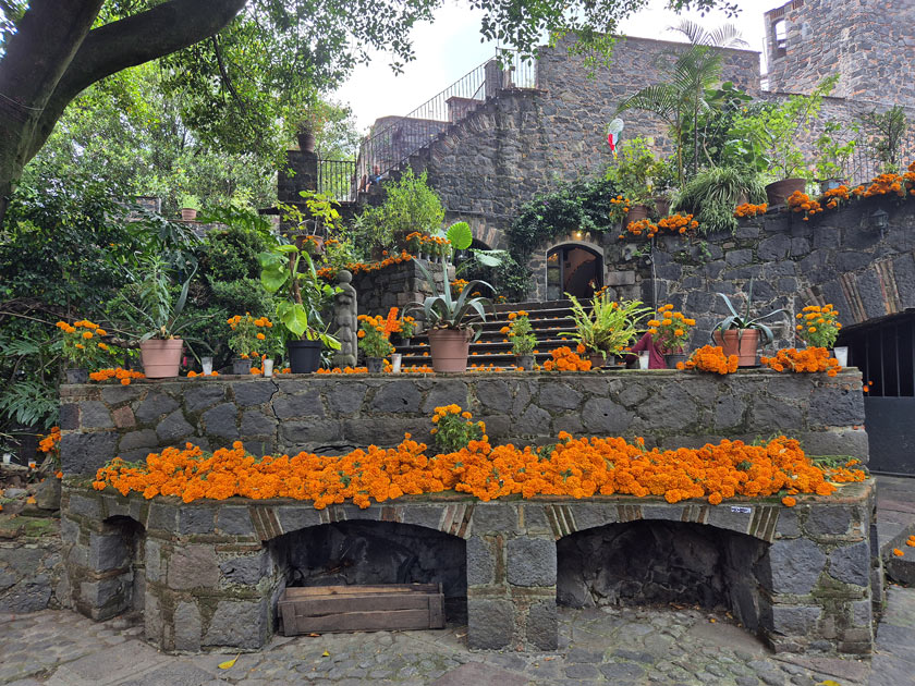 casa indio fernandez cempasuchil