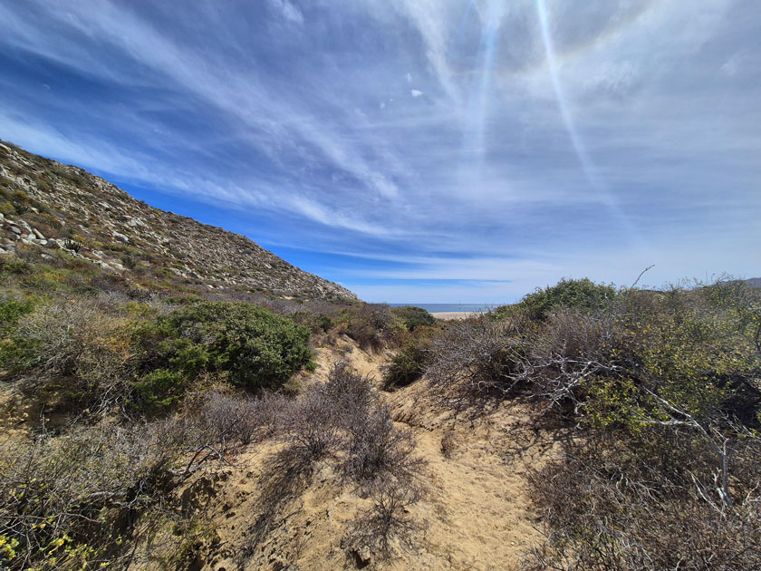 los frailes trail vegetation baja california sur