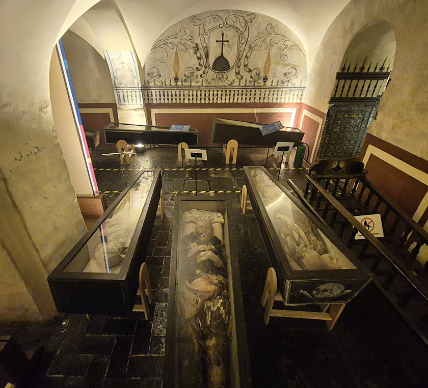 momies de san angel mexico