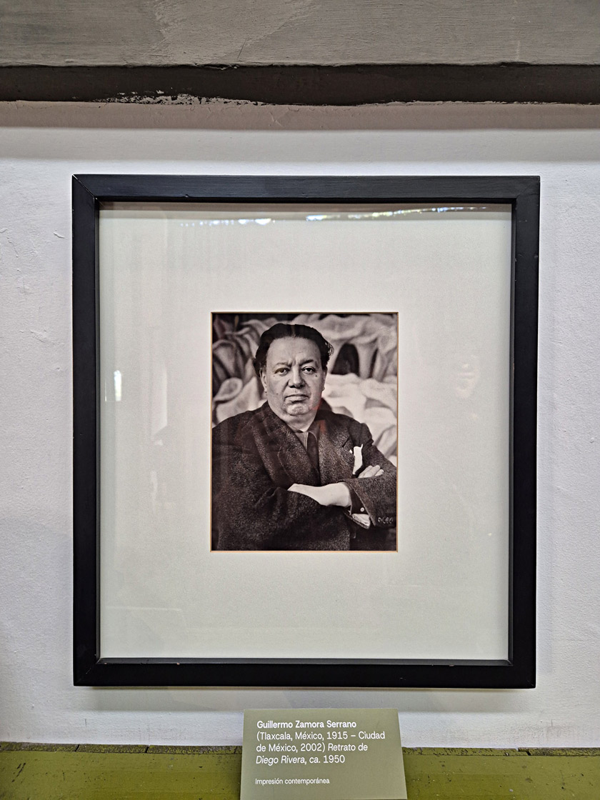 portrait diego rivera