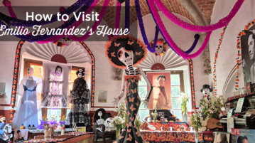 visit casa del indio fernandez coyoacan mexico city
