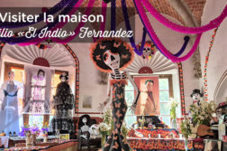 visiter casa del indio fernandez coyoacan mexico