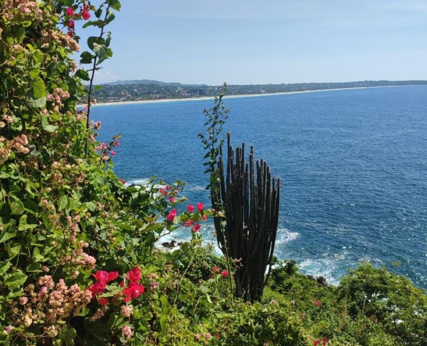 vue puerto escondido