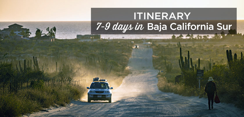 baja california sur itinerary 7 9 days road trip