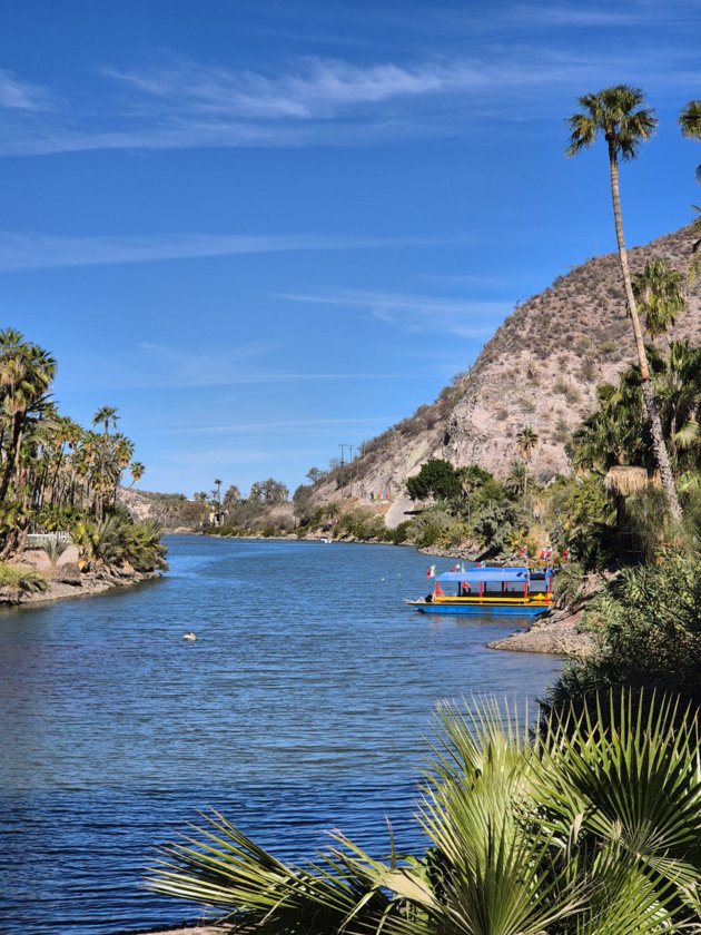 oasis mulege baja california sur