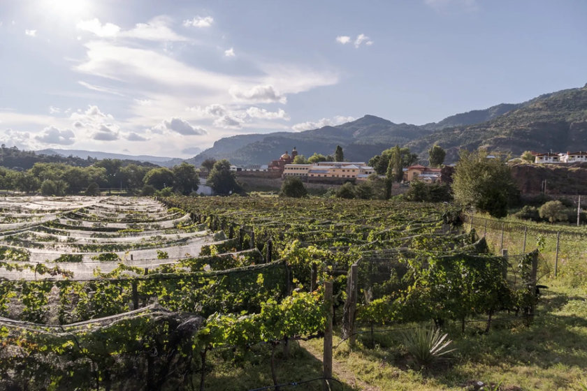 Hotel Mision Vignoble Arrêt du train el chepe Cerocahui