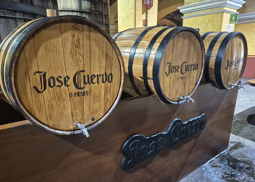 degustation jose cuervo tequila