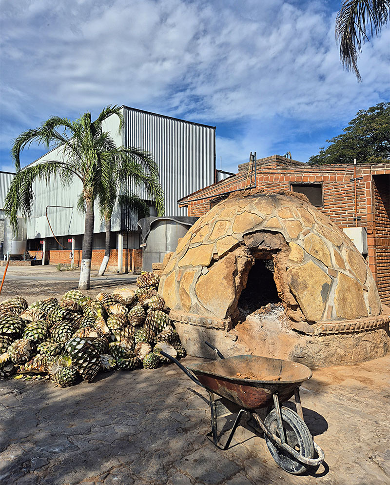 distillerie artisanale tequila amatitan