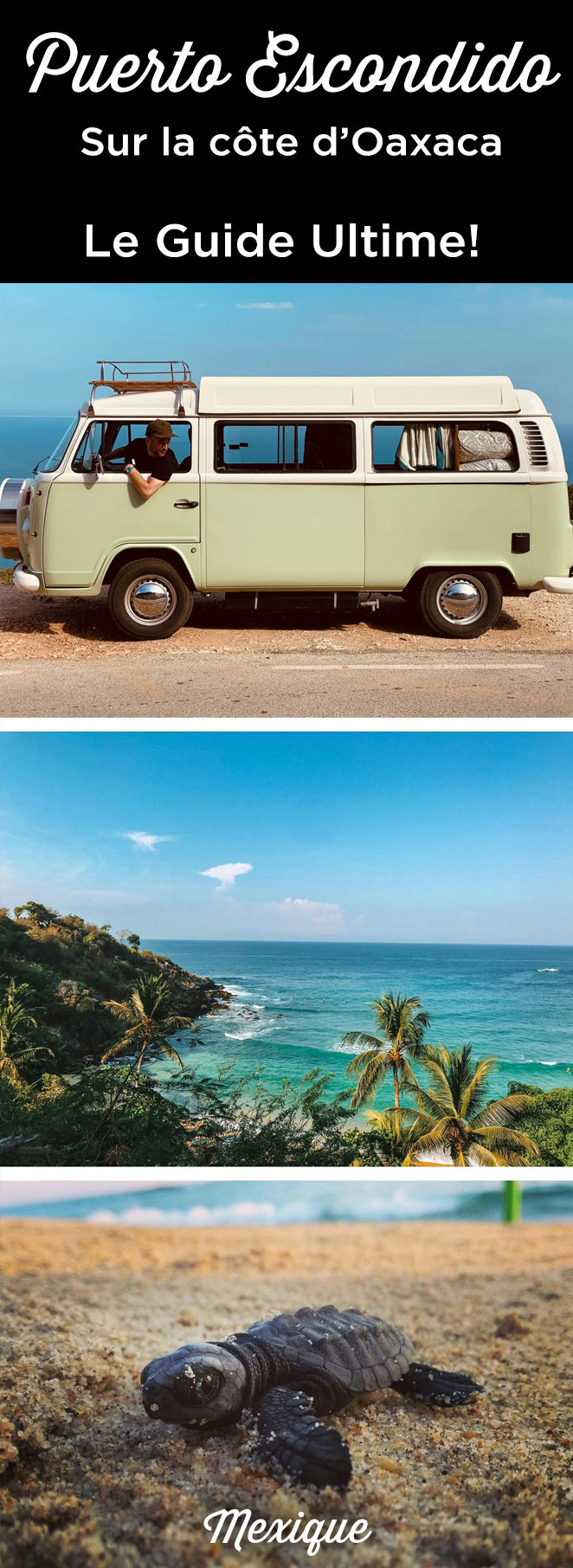 que faire a puerto escondido oaxaca