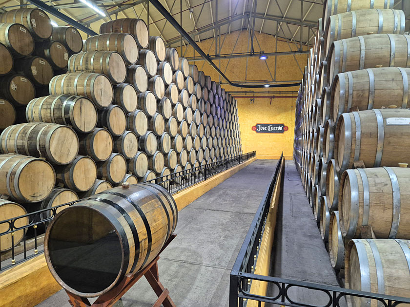 visite jose cuervo tequila