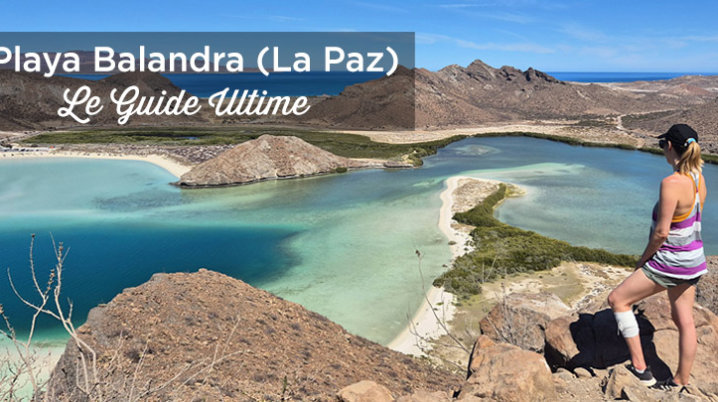 Plage de Balandra à La Paz : accès, horaires et guide du belvédère plage balandra la paz