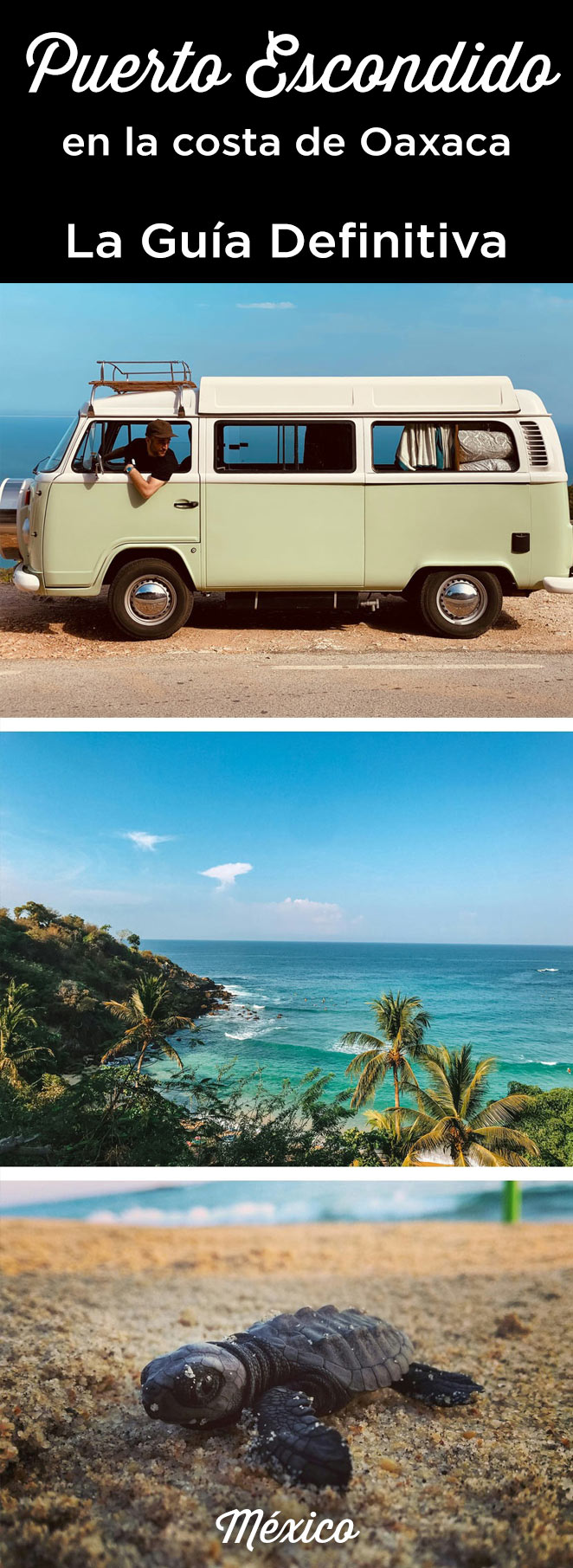 que hacer puerto escondido oaxaca