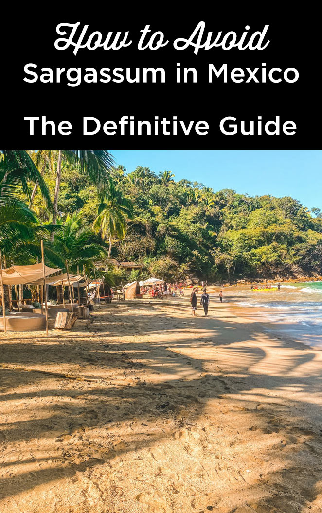 sargassum riviera maya