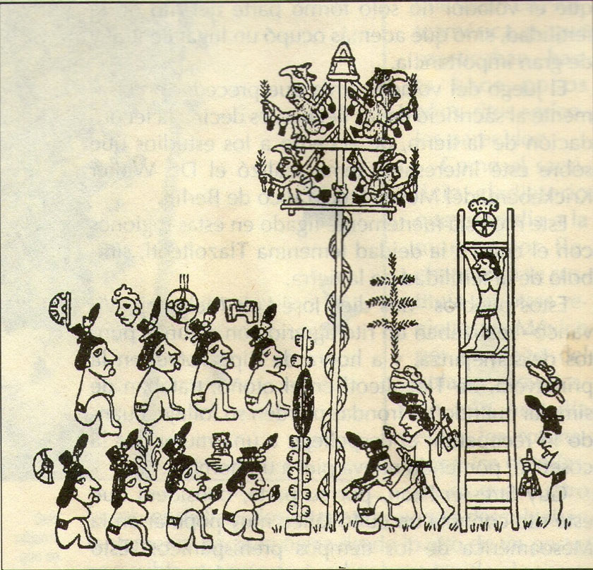 origine voladores mexique