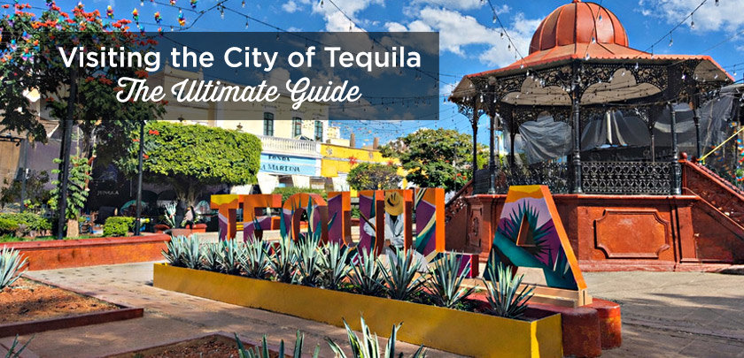 tequila jalisco agave fields